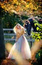 Fashionable lady with white bridal dress near black horse in forest. Royalty Free Stock Photo