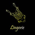 Fashionable lingerie collection for women, sketch illustration. Logo of women`s lace underwear, panties, bras, corsets,