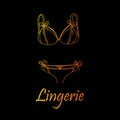 Fashionable lingerie collection for women,  sketch illustration. Logo of women`s lace underwear, panties, bras, corsets, Royalty Free Stock Photo