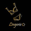 Fashionable lingerie collection for women, sketch illustration. Logo of women`s lace underwear, panties, bras, corsets,