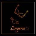 Fashionable lingerie collection for women, sketch illustration. Logo of women`s lace underwear, panties, bras, corsets,