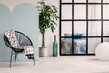 Fashionable room interior with white and blue wall,green plant in pot and trendy chair