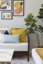 Fashionable living room interior with yellow and blue accents. Royalty Free Stock Photo