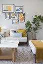 Fashionable living room interior with yellow and blue accents. Royalty Free Stock Photo