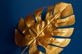 Fashionable luxuary blue background with gold monstera leaf