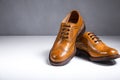 Fashionable Luxury Male Full Broggued Tan Leather Oxfords Shoes