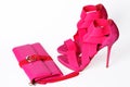 Fashionable pink shoes Royalty Free Stock Photo