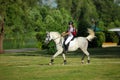 Fashionable portrait of a beautiful young woman and horse Royalty Free Stock Photo