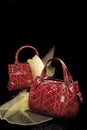 Fashionable red Handbags