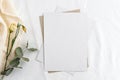 Fashionable stock stationery background - a white card for writing and twigs of dry plants on a white table. Wedding feminine back