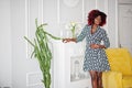 Fashionable tall african american model woman with red afro hair in dress Royalty Free Stock Photo