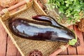 Fashionable ugly organic eggplant in a still life on a brown wooden background, with copy space Royalty Free Stock Photo