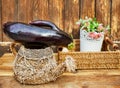 Fashionable ugly organic eggplant in a still life on a brown wooden background, with copy space Royalty Free Stock Photo