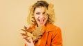 Fashionable woman in autumn clothing with yellow leaves. Beautiful young girl with autumn leaf. Happy female model in Royalty Free Stock Photo