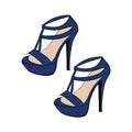 Fashionable women`s blue high-heeled sandals. Open shoes. The design is suitable for icons, shoe stores