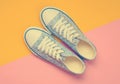 Fashionable women& x27;s sneakers with white laces from the 80s Royalty Free Stock Photo