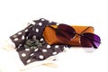 fashionable women's sunglasses. A case for storing glasses. they are lying on a Royalty Free Stock Photo