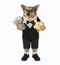 Dog holds money and piggy bank Royalty Free Stock Photo