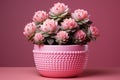 Fashionably set cactus on vanilla-pink