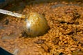 Fasole cu ciolan, pork and beans, typical food of Romania