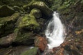 Brook beside mossy stones