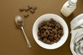 Fast carbohydrates, junk food. Chocolate cereal rings in bowl brown background.