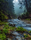 Fast flow breakers among wild forest at sunrise under the top of Hoverla, stormy clean water feeds the river Prut Royalty Free Stock Photo