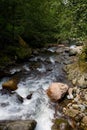 Fast flow of mountain river in summer Royalty Free Stock Photo