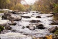 Fast flow. The river flows fast among the stones. Foamy river in the forest. Fast stream and stones