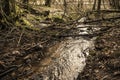 the fast flow of a small stream that flows into a forest river in early spring after the snow melts Royalty Free Stock Photo