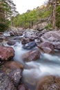 Fast flowing Asco river in Corsica Royalty Free Stock Photo