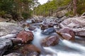 Fast flowing Asco river in Corsica Royalty Free Stock Photo