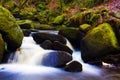 Fast flowing brook