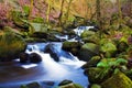 Fast flowing brook