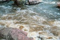 Fast flowing cold water mountain stream, flowing stormy stream stream, nature outdoors, fresh stream dark blue water Royalty Free Stock Photo