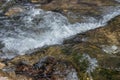 Fast flowing mountain creek, close up. Royalty Free Stock Photo