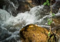 Fast flowing mountain stream Royalty Free Stock Photo