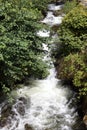 Fast Flowing Mountain Stream with white water Royalty Free Stock Photo