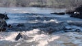 Fast flowing muddy river in spring. Clip. Strong flow of muddy mountain river during spring floods. Mountain river with Royalty Free Stock Photo