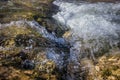 Fast flowing natural stream, close up. Royalty Free Stock Photo