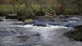 Fast flowing Rapids River , River Dart, Dartmoor, Devon,uk