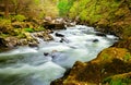 Fast flowing river Royalty Free Stock Photo