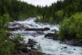 Fast flowing river in Norway with rapids and rocks in the river bed surrounded by forest