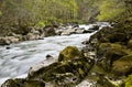 Fast flowing river in spring Royalty Free Stock Photo