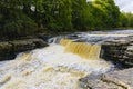 The fast flowing River Ure at Aysgarth Falls in Yorkshire Royalty Free Stock Photo