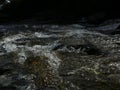 Fast-flowing stream running through a wooded area, surrounded by natural rocky outcrops Royalty Free Stock Photo