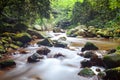 Fast flowing water in the mountain Royalty Free Stock Photo