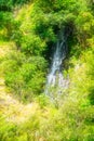 The fast flowing waterfall on the side of a forest covered cliff. Waioeka Gorge, North Island, New Zealand Royalty Free Stock Photo