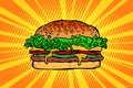Fast food Burger, hamburger