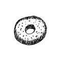 Fast food donut. Sketch of delicious popular food. Hand-drawn outline sweet cake for typography, prints, coloring book